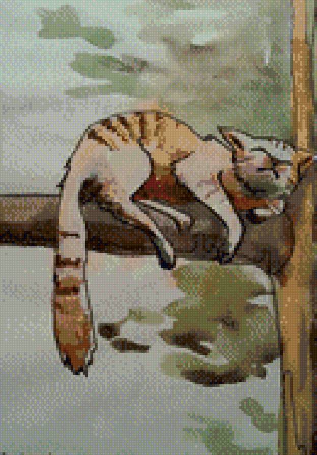 коте - кошки - предпросмотр