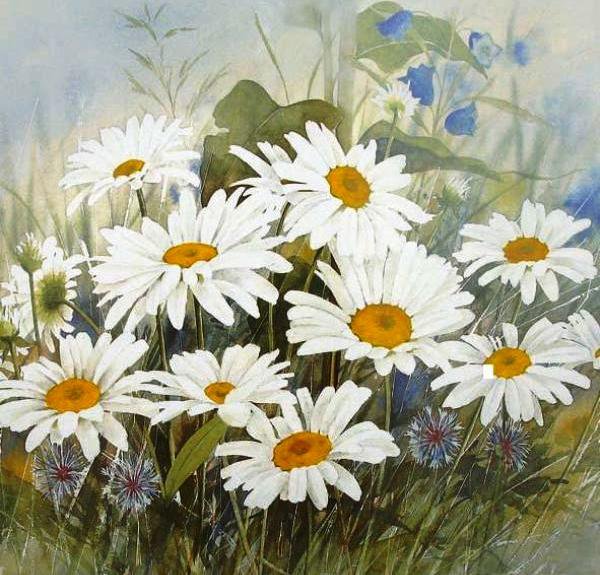 пано ромашки - картина, пано, цветы - оригинал