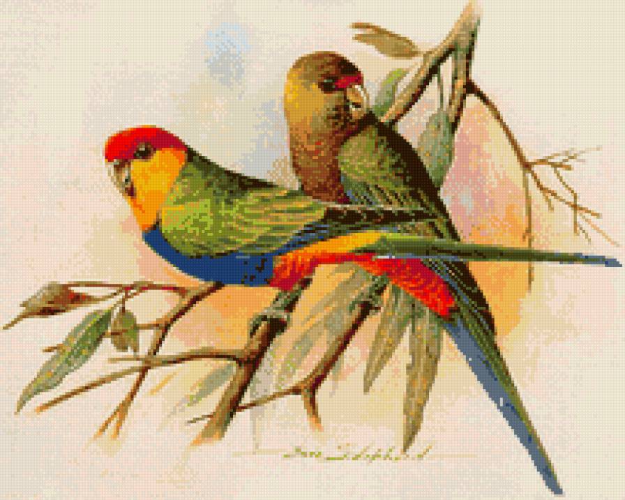 №705449 - предпросмотр