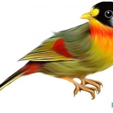 Схема вышивки «№705503»