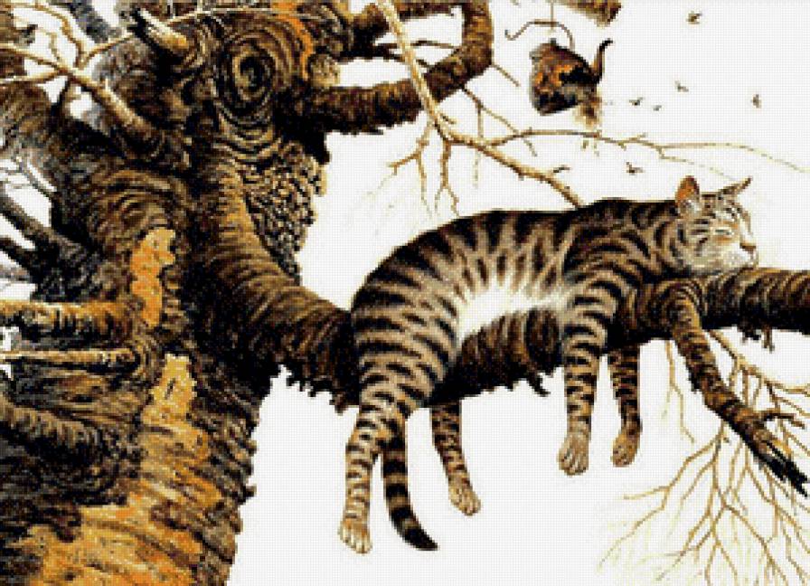 Кот - предпросмотр