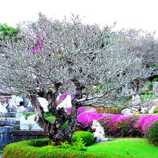 Оригинал схемы вышивки «пейзаж» (№705663)