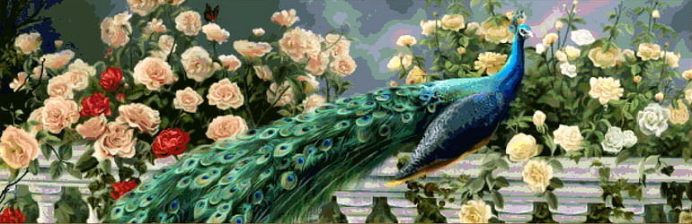 Павлин - природа, птицы - оригинал