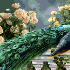 Схема вышивки «Павлин»