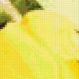 Предпросмотр схемы вышивки «Желтые тюльпаны» (№705686)