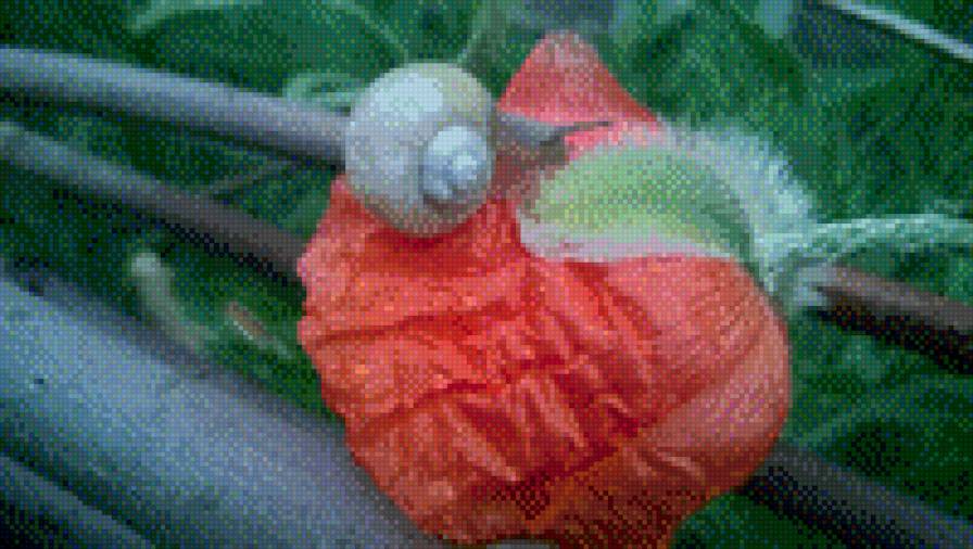 ekbnrf - предпросмотр