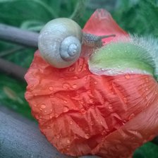 Схема вышивки «ekbnrf»