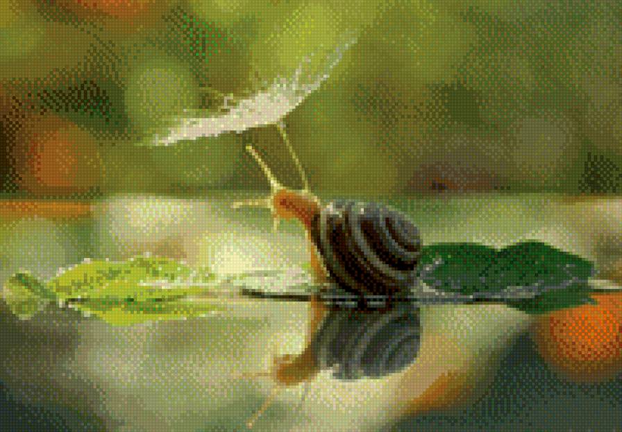 Улитка - улитка, паутина, природа - предпросмотр