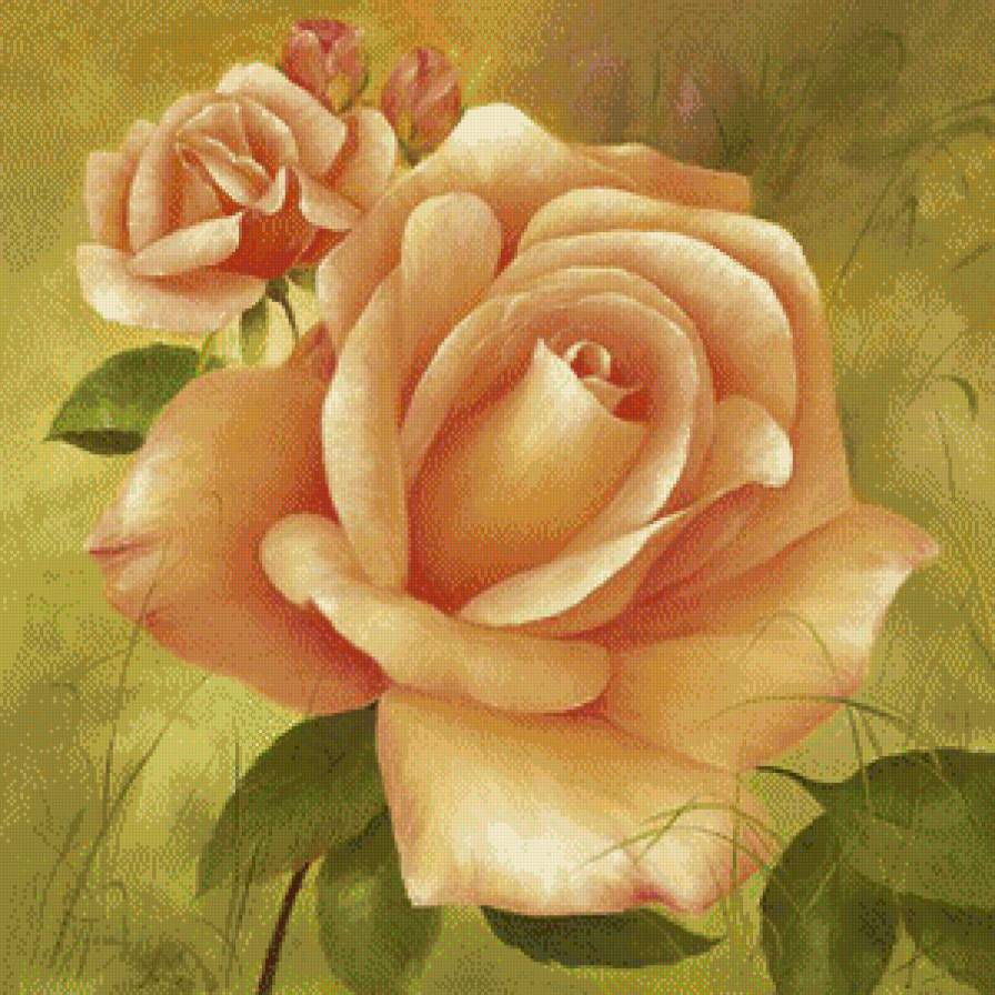 роза - цветы.роза - предпросмотр