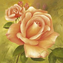 Схема вышивки «роза»