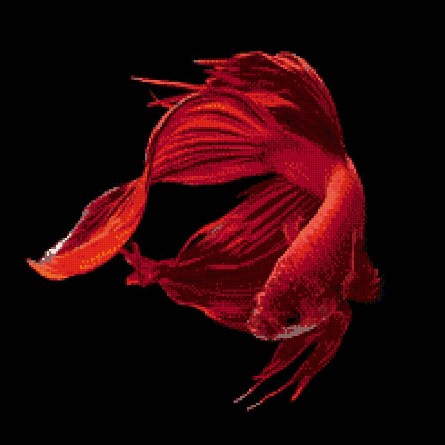 Рыбка - предпросмотр