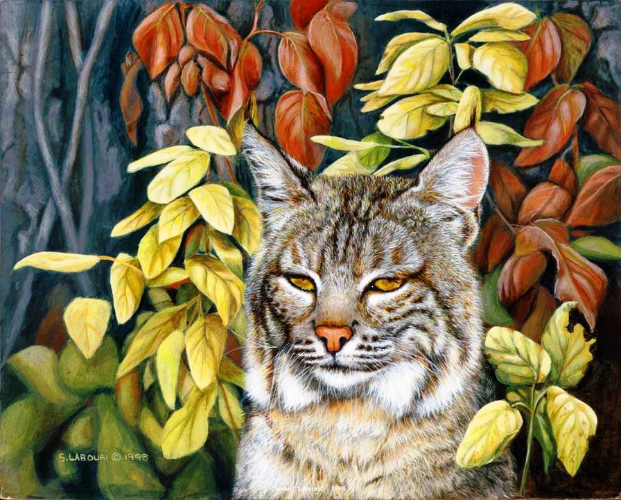 рысь - листья, животные, рыси, кошки, осень - оригинал