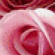 Предпросмотр схемы вышивки «букет роз» (№706059)