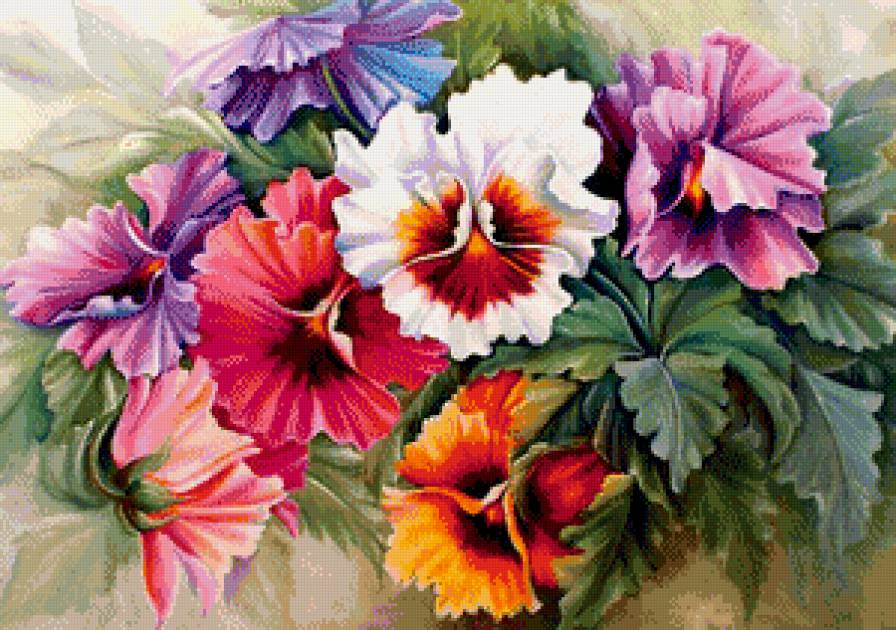 Анютины глазки - цветы, букет - предпросмотр