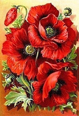 Маки 2 - оригинал