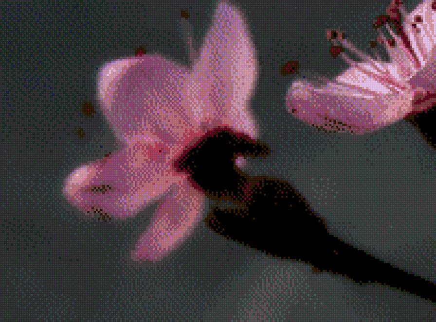 цветы 2 - цветы, триптих - предпросмотр