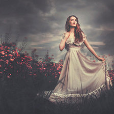 Схема вышивки «№706545»