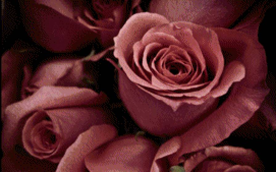 16498 - предпросмотр