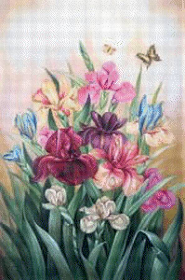 праздничные ирисы - предпросмотр