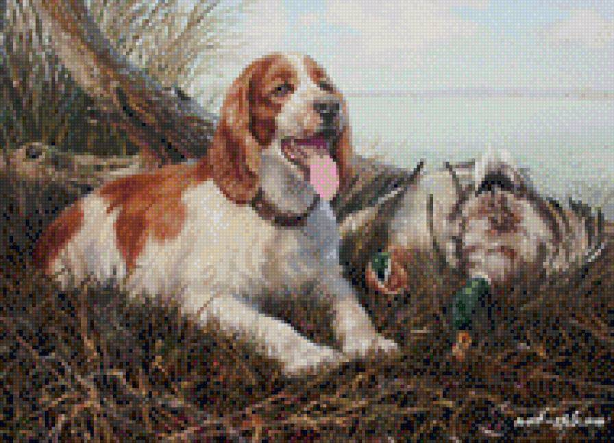 0196 - животные, утки, картина, красота, природа, лето, собака, вода - предпросмотр