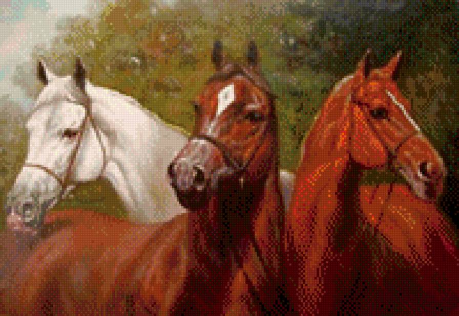 0198 - лошадь, лето, конь, природа, красота, картина, животные - предпросмотр