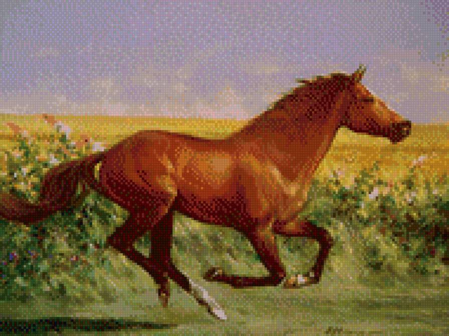 0199 - конь, лето, природа, картина, животные, лошадь, красота - предпросмотр