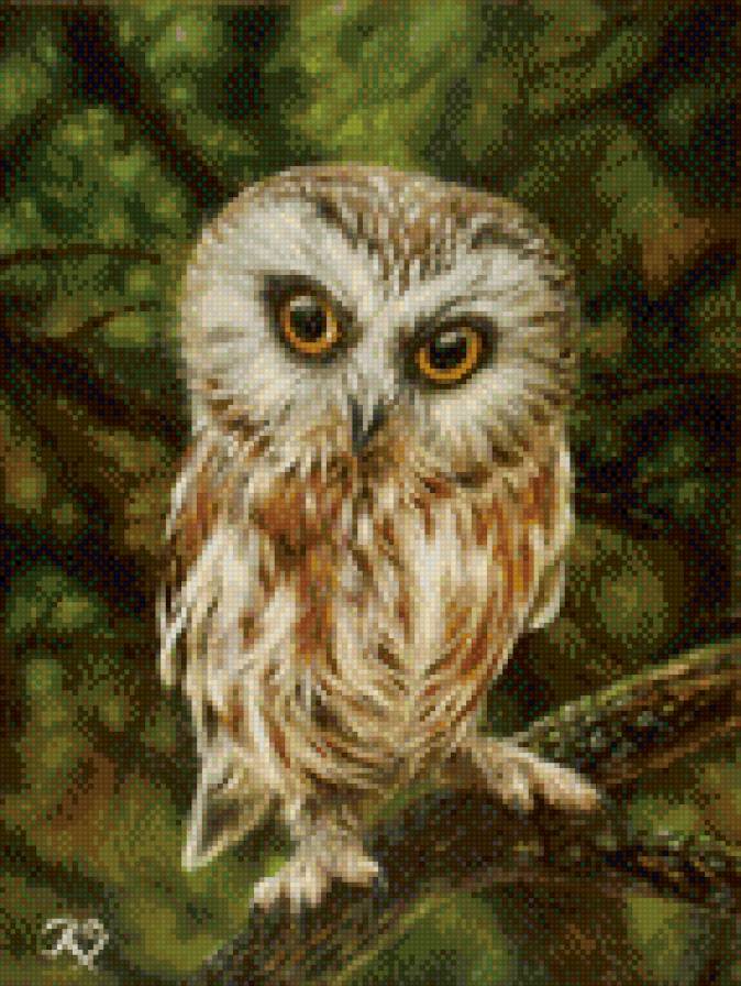 0200 - лето, природа, лес, сова, картина, птицы, красота - предпросмотр