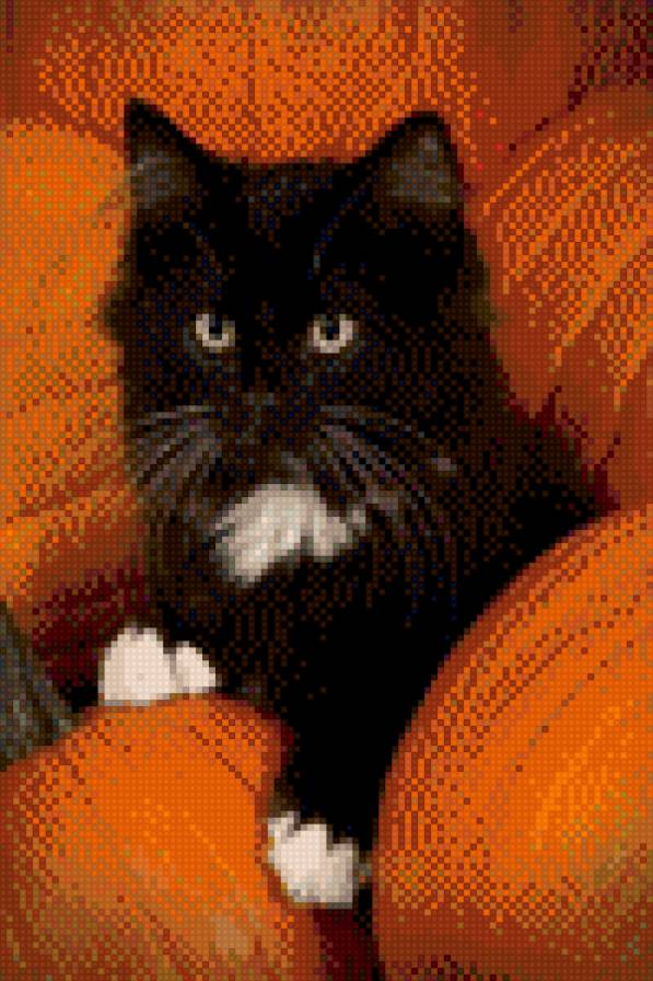 кристя - животные, кошки - предпросмотр