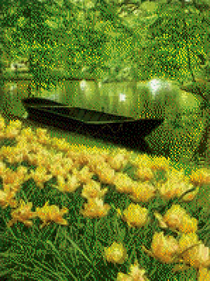 лето - лето, природа - предпросмотр