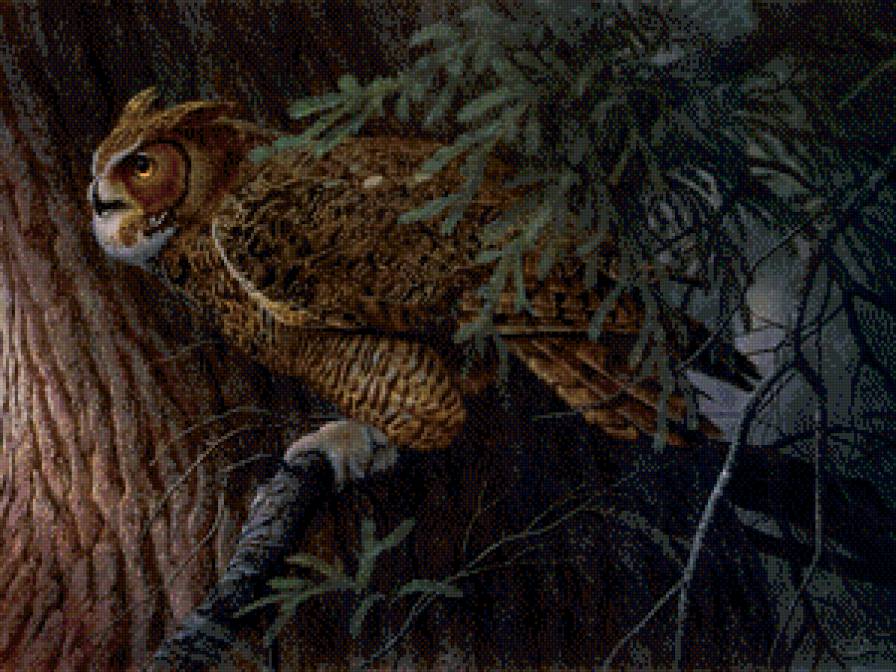 Филин - птицы - предпросмотр