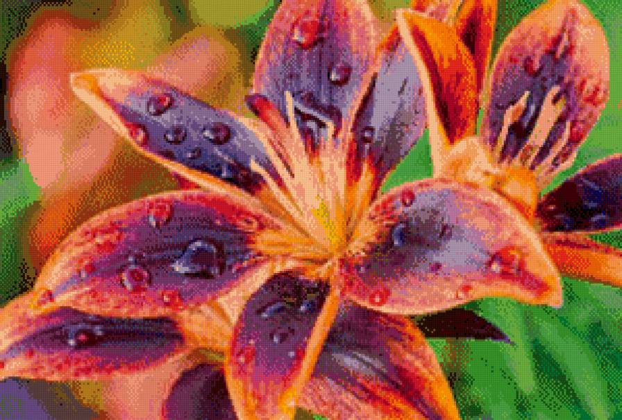 Цветок - предпросмотр