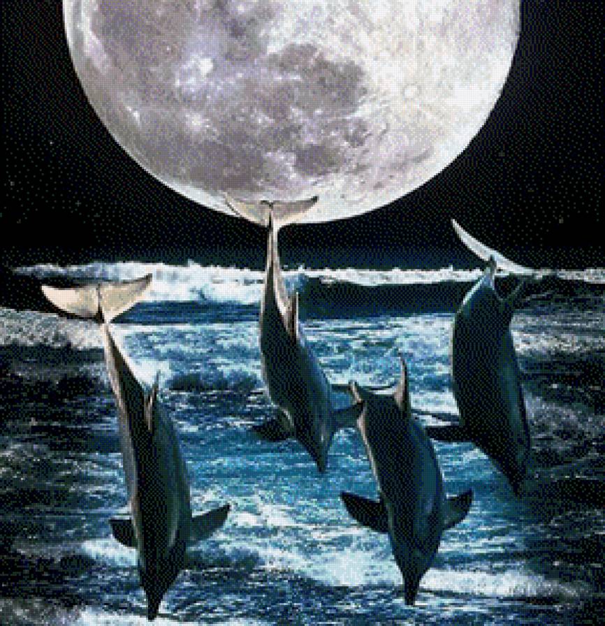 Танец под Луной - луна, дельфины, ночь, танец, море, полнолуние - предпросмотр
