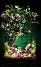 Схема вышивки «триптих стихии 1часть»