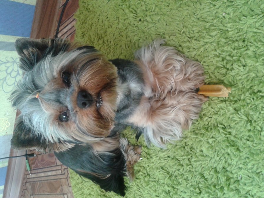 Аська - оригинал