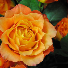 Схема вышивки «№707893»