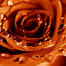 Схема вышивки «№707914»