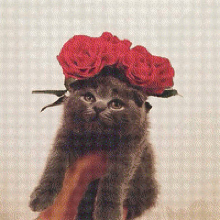 №707953 - звери, кошки, животные, котенок - предпросмотр