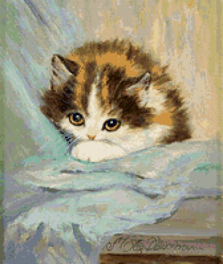 №707960 - кошки, звери, котенок, животные - предпросмотр