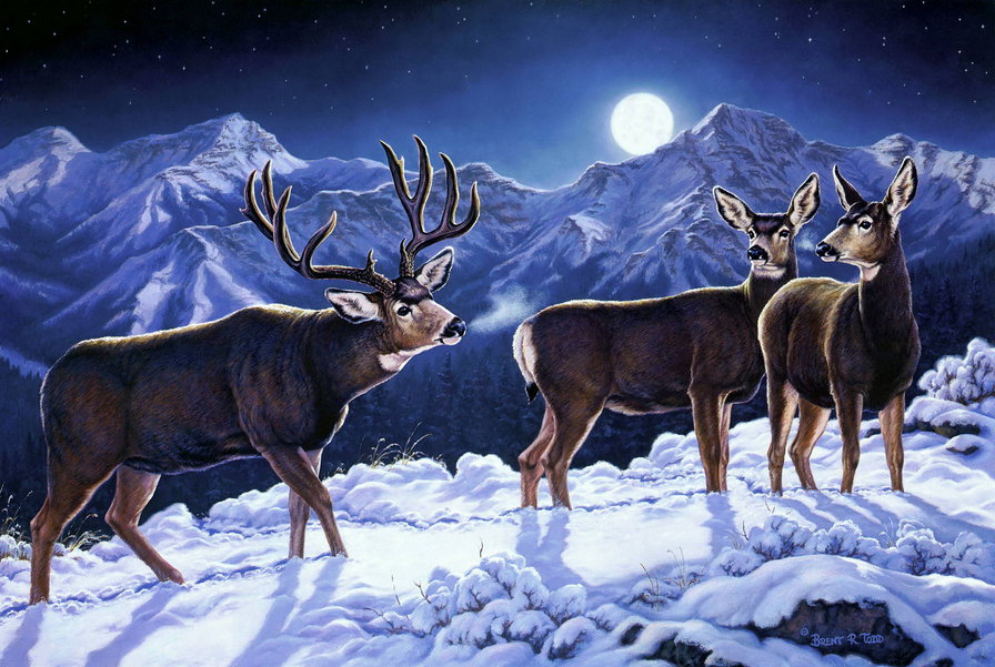 северные олени - олени, горы, снег, пейзаж, природа, животные - оригинал