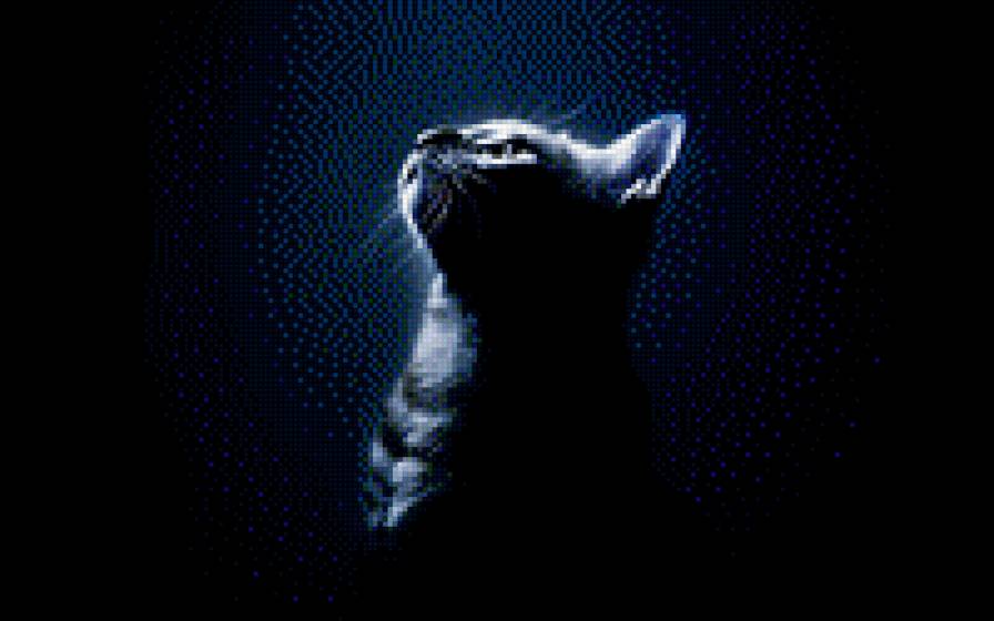 №708196 - кошки, животные, котенок, звери - предпросмотр