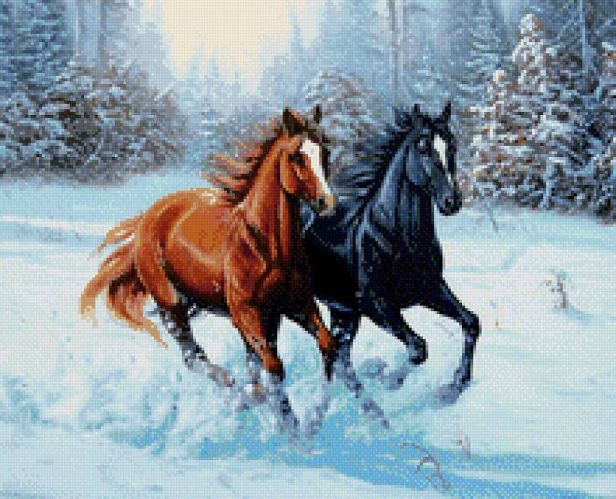 Лошади в снегу - зима, животные, кони, лошади - предпросмотр