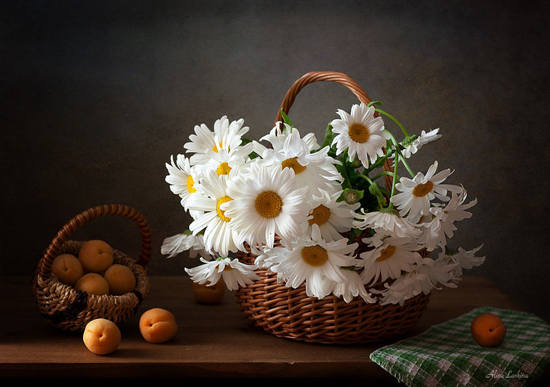 Ромашки - ромашки, абрикосы, цветы - оригинал