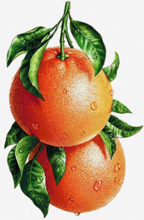 Апельсины - цитрус, апельсин, на кухню - предпросмотр