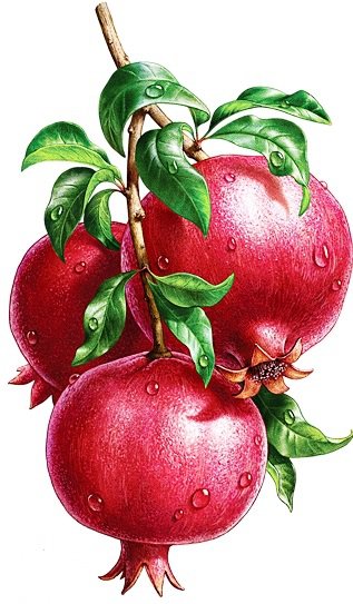 Гранаты - на кухню - оригинал