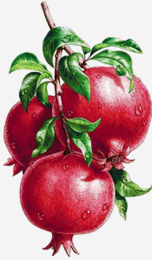 Гранаты - на кухню - предпросмотр