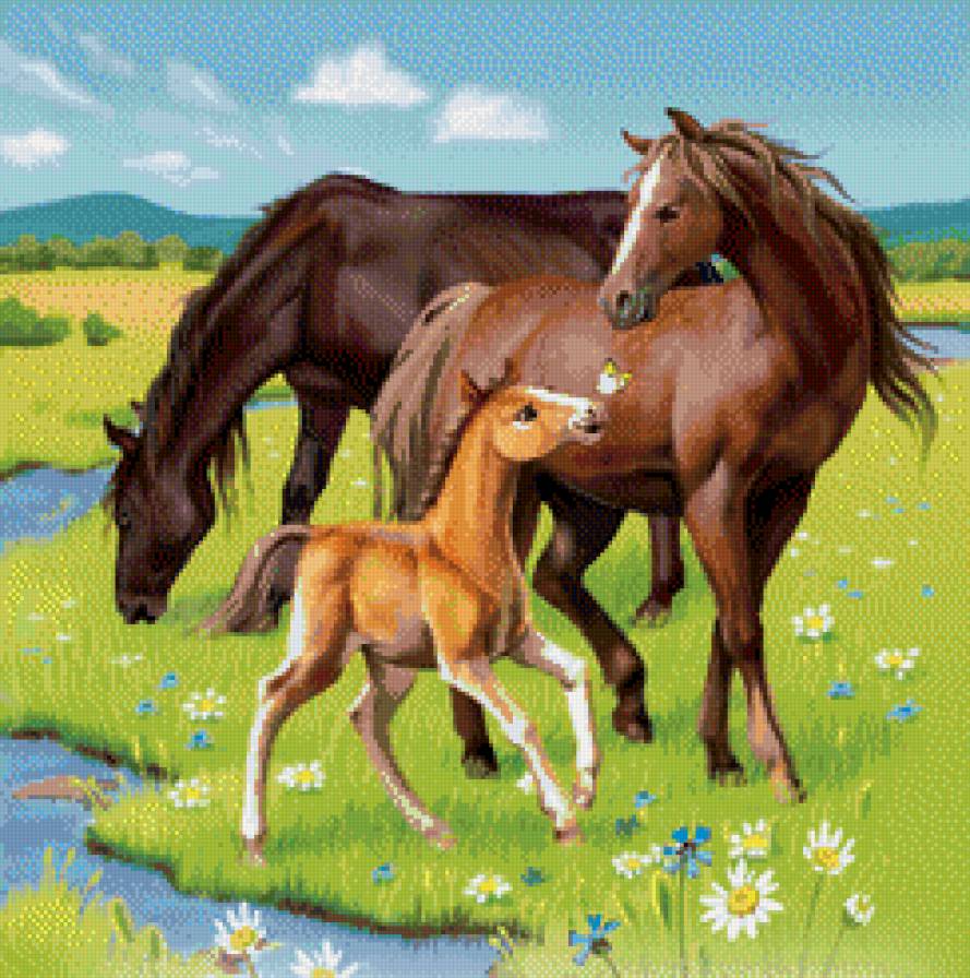 лошадки - конь, лошадь, кони, лошади, семья, животные, подушка - предпросмотр