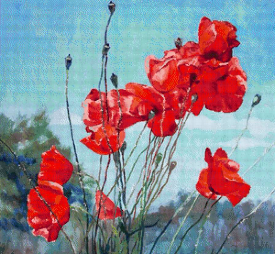 Маки - маки, поле - предпросмотр