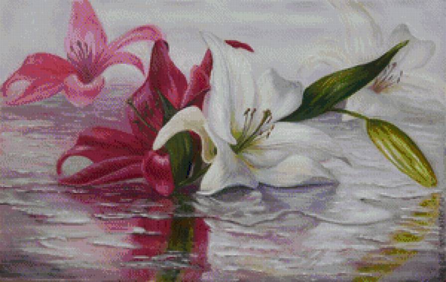 Лилии на воде - отражение, лилии, вода - предпросмотр