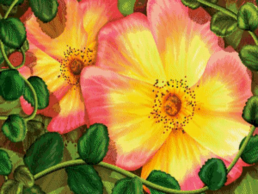 №708784 - цветы - предпросмотр