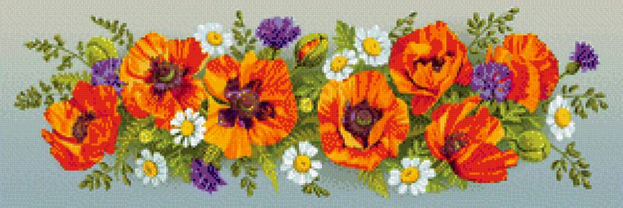 полевые цветы - ромашки, мак, растения, цветы, ромашка, маки - предпросмотр